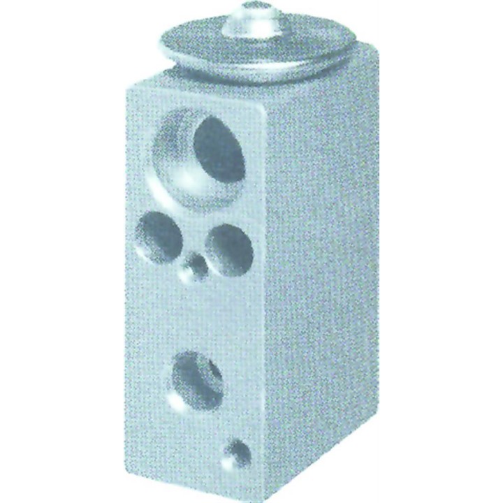 20121060  VALVULA EXP MONOBLOCK FIAT PUNTO