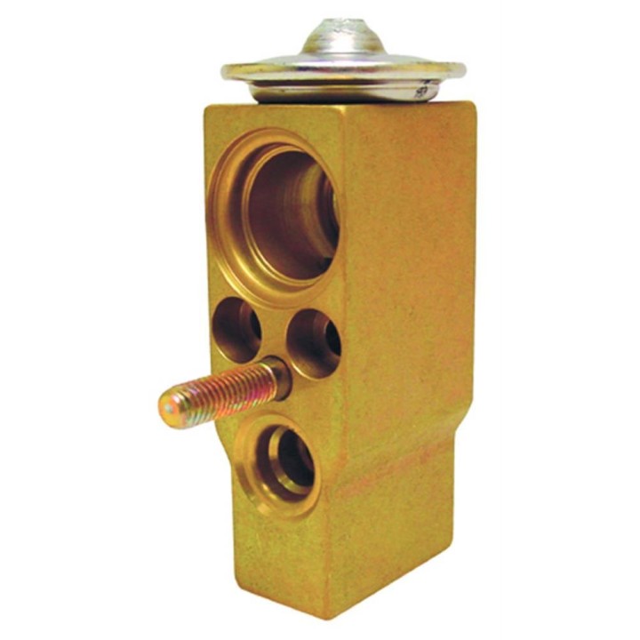 20121052  VALVULA EXP MONOBLOCK RENAULT CLIO 99