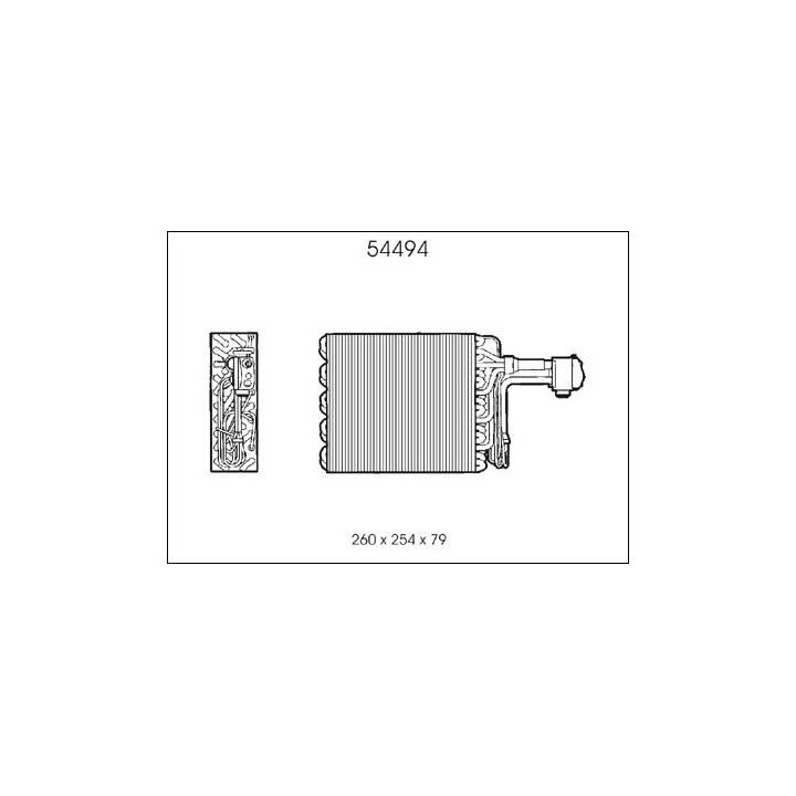 54494  EVAPORATOR RENAULT SAFRANE R12