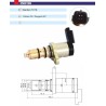 3500189  VALVULA CONTROL COMP SANDEN