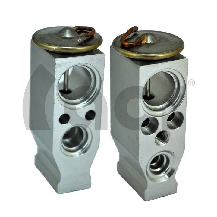 20121118  VALVULA EXP MONOBLOCK RENAULT CLIO/MODUS