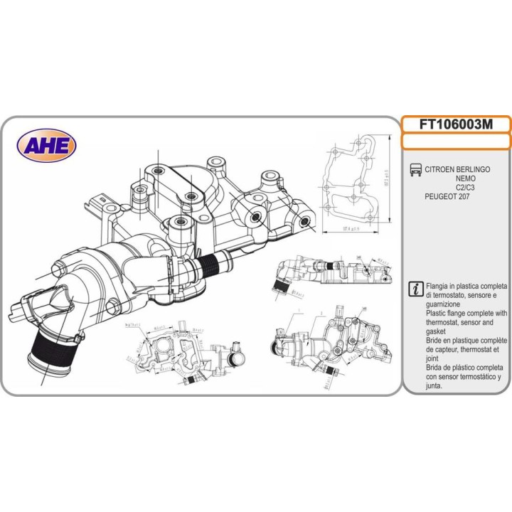 Fl  Term  CITROEN/PEUGEOT Berlingo/C2/C3/Nemo/207 