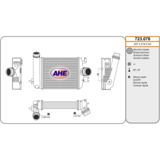 Int  NISSAN/RENAULT Juke/Arkana/Captur/Clio 1 0/1 