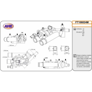 Fl  Term  CITROEN/PEUGEOT C4/C5/206/307/407 08 98-